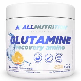 Glutamine Amino Recovery - 250г, Оранжевий 8295 фото
