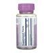 Екстракт ягід чорниці 60mg - 60 вегетаріанських капсул 32194 фото 2