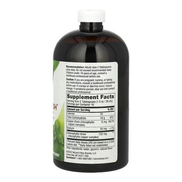 Рідкий Chlorofresh&reg; Mint 16 oz - рослинна добавка 26632 фото