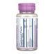 Milk Thistle Phytosome 200mg - високоякісна добавка для печінки, 60 капсул 32006 фото 2